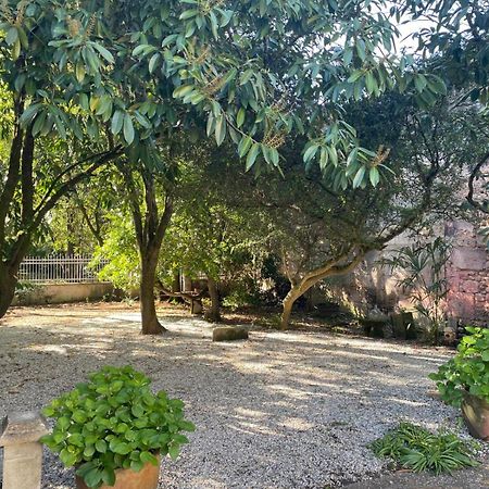 Annexe Du Pont De La Charente Apartment Châteauneuf-sur-Charente Exterior foto